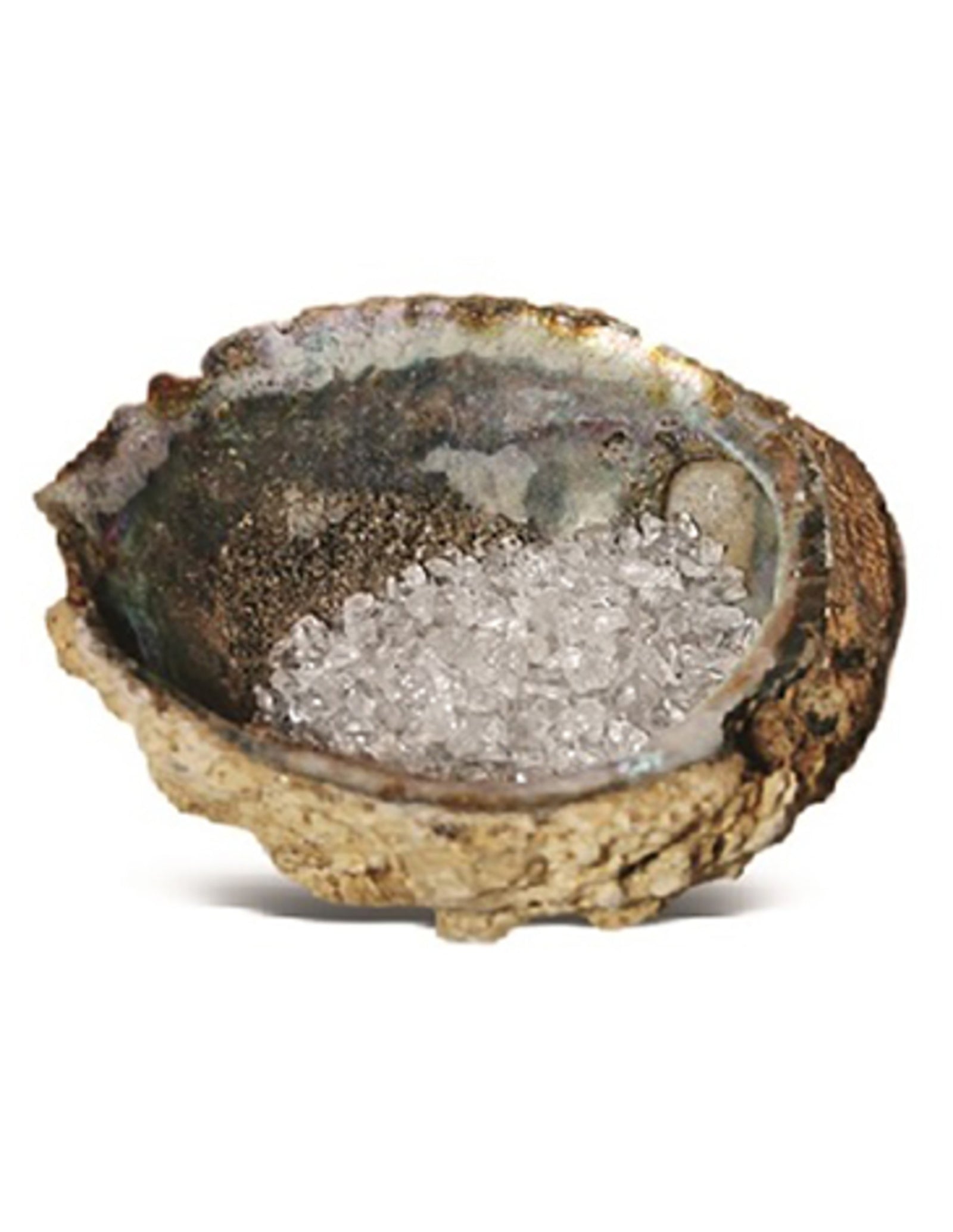 Abalone oplaadschelp