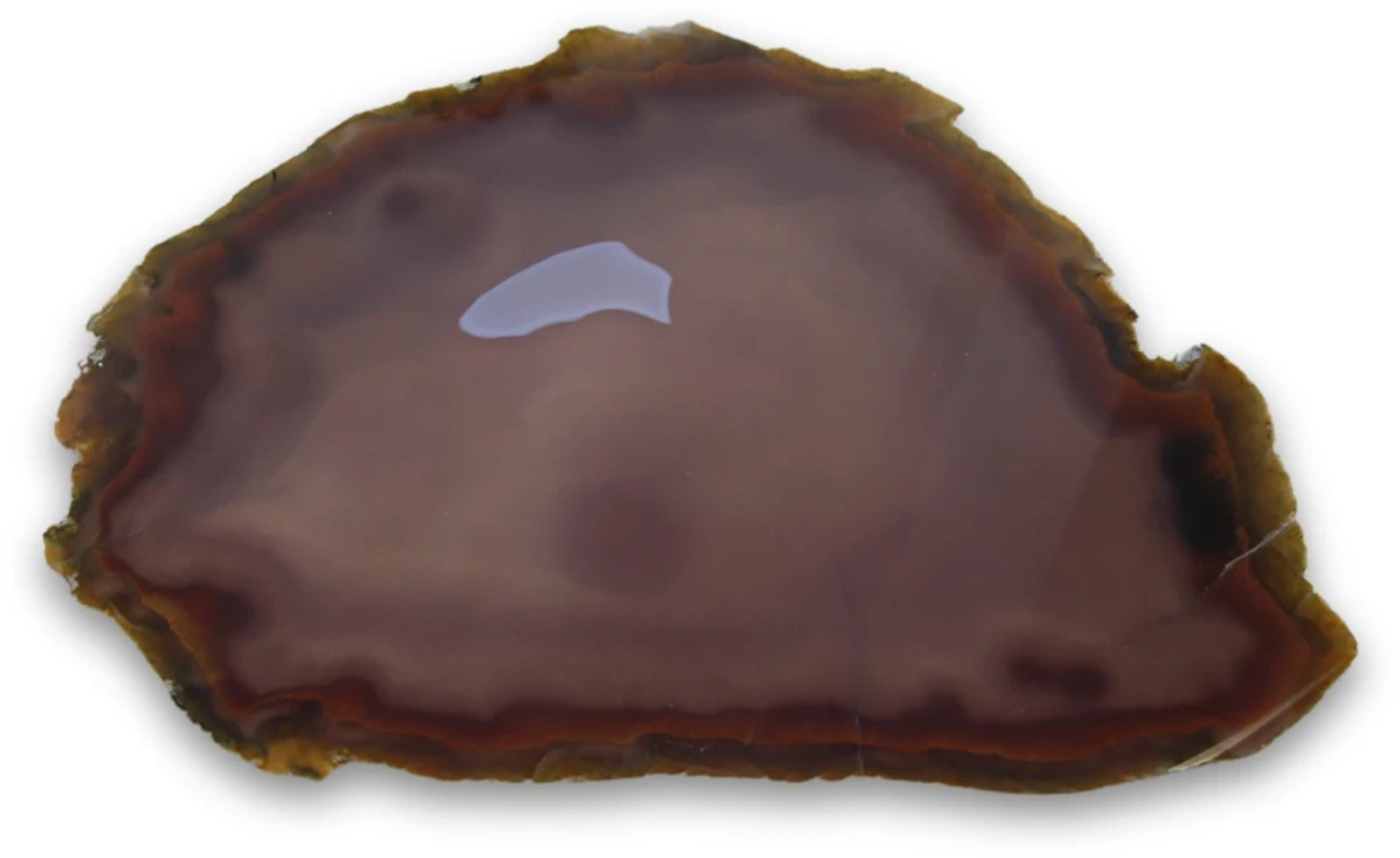 Agaatschijf natuur XL nr.04