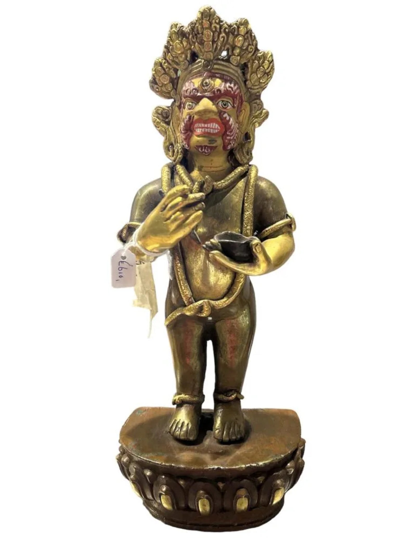 Dharmapala Goldface beeld