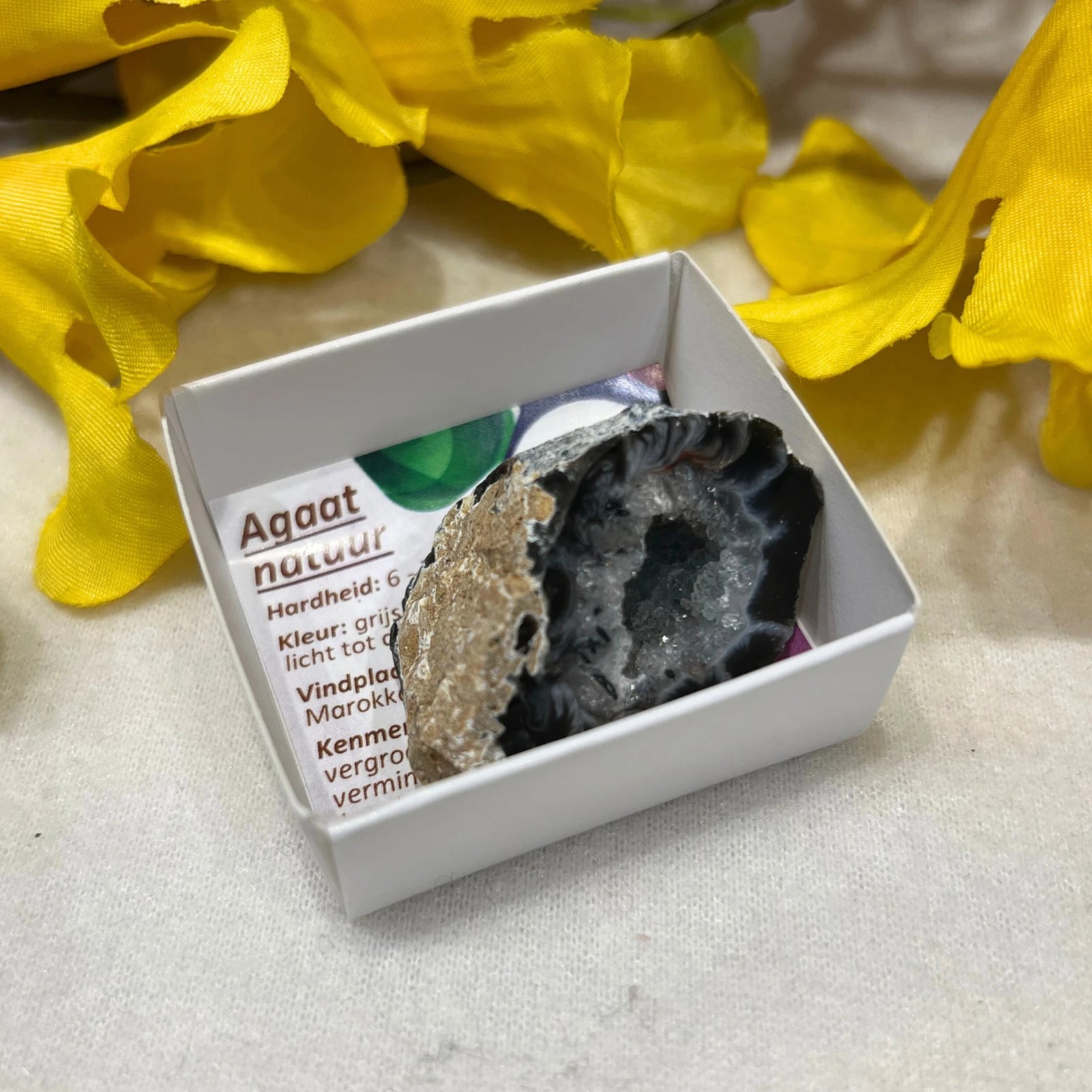 Doosje Agaat geode