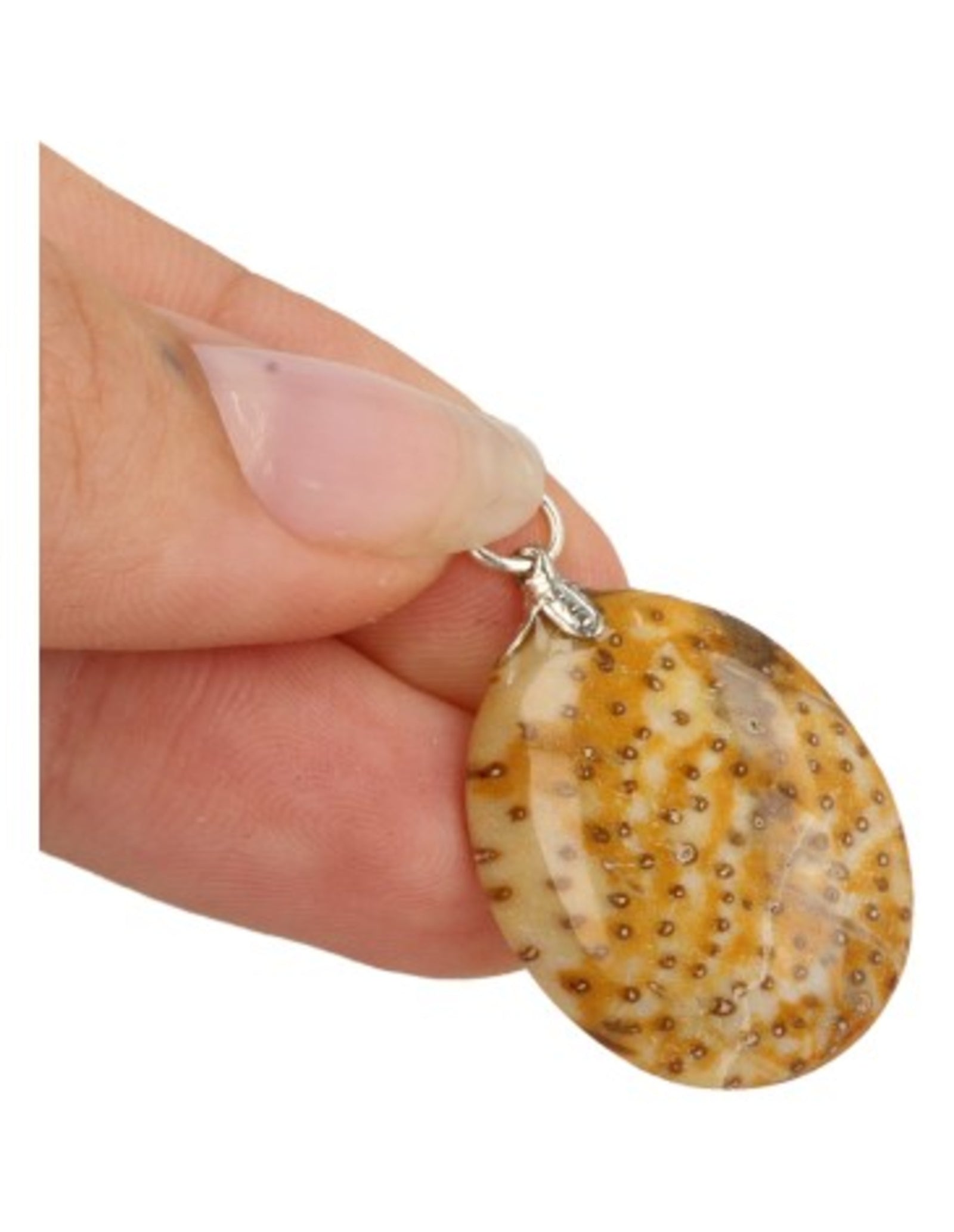 Fossiele palm edelsteen hanger