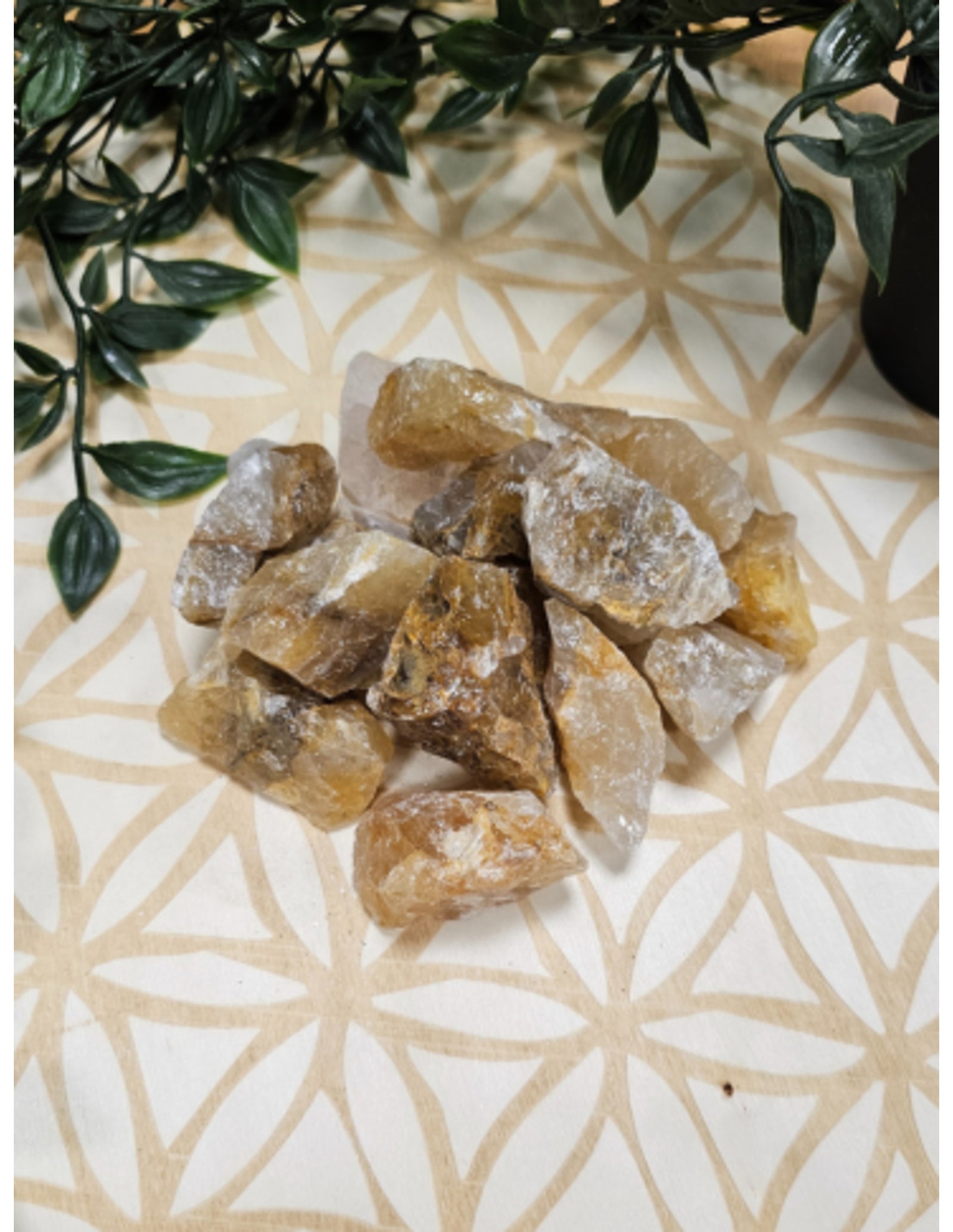 Golden Healer 500 gr. ruwe brokjes