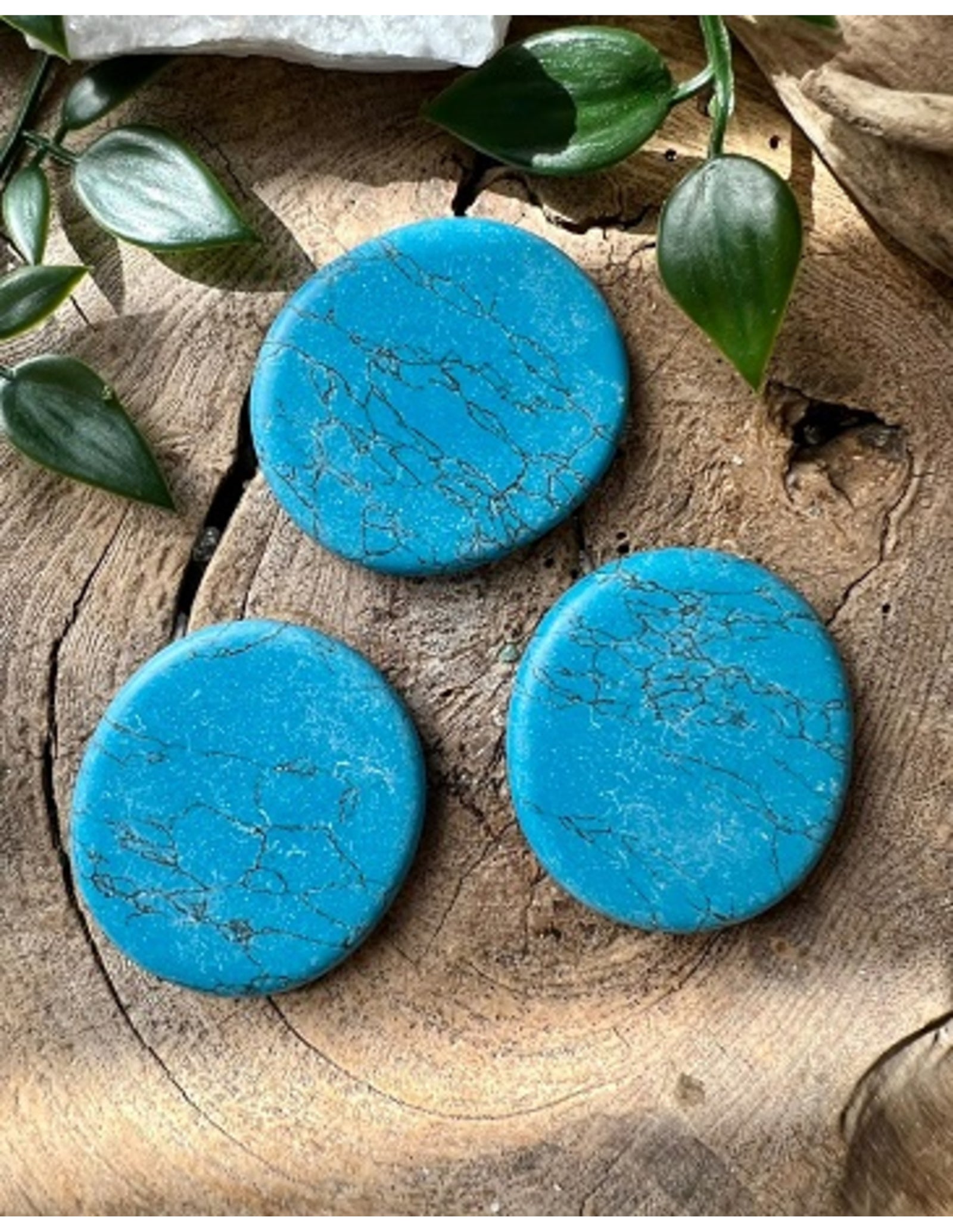 Howliet blauw zaksteen (gekleurd)