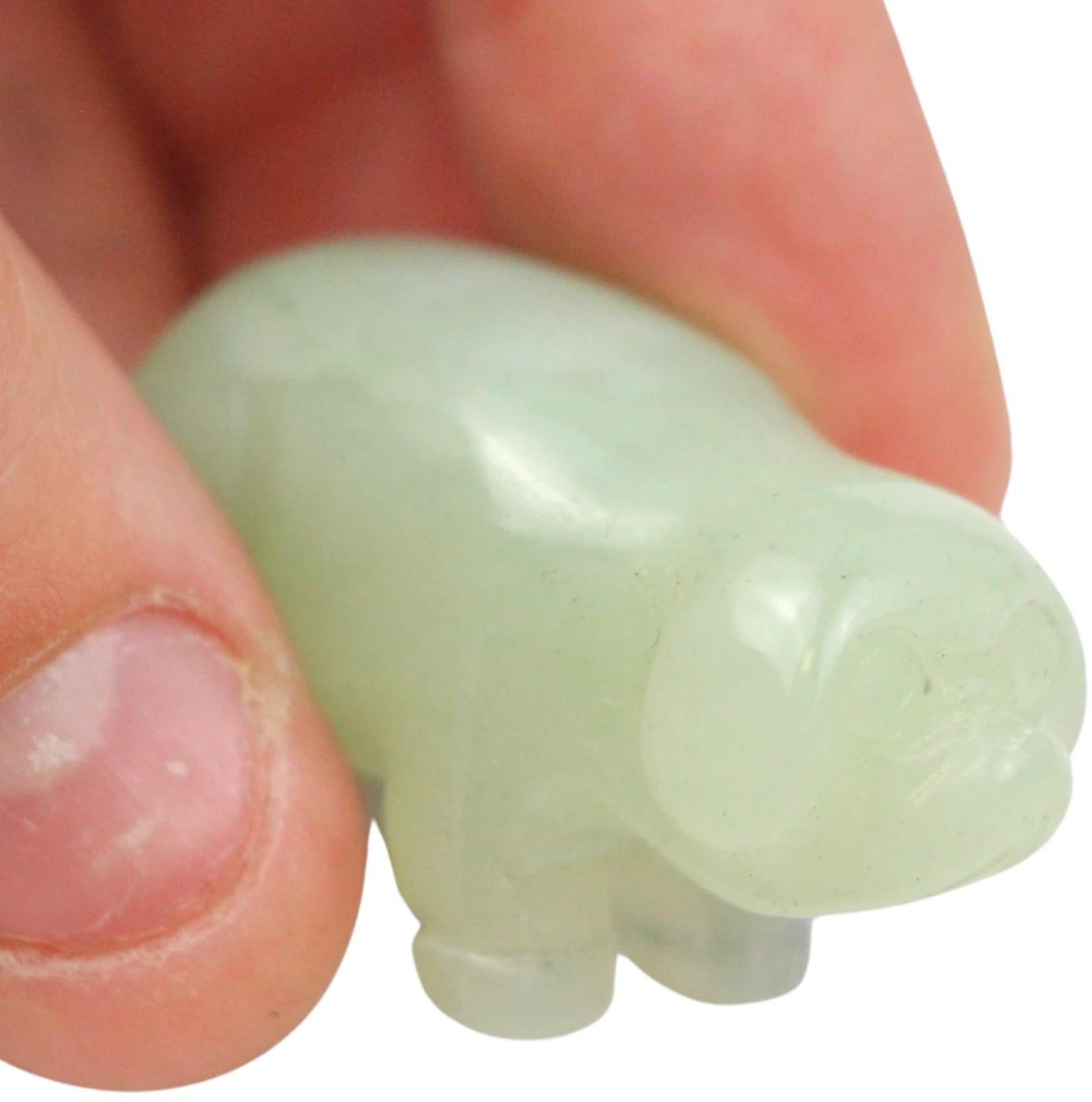 Jade varken edelsteendier