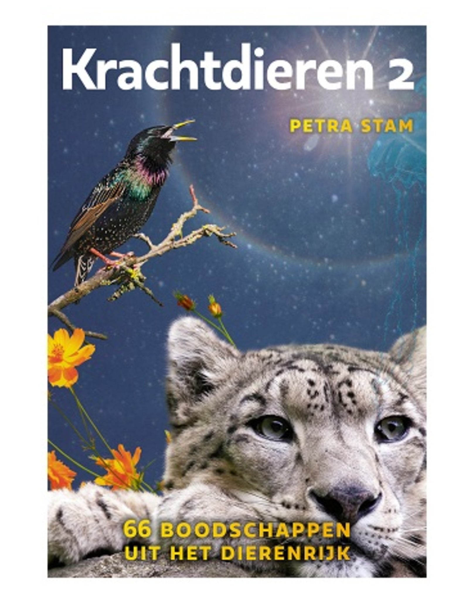 Krachtdieren kaarten set 2