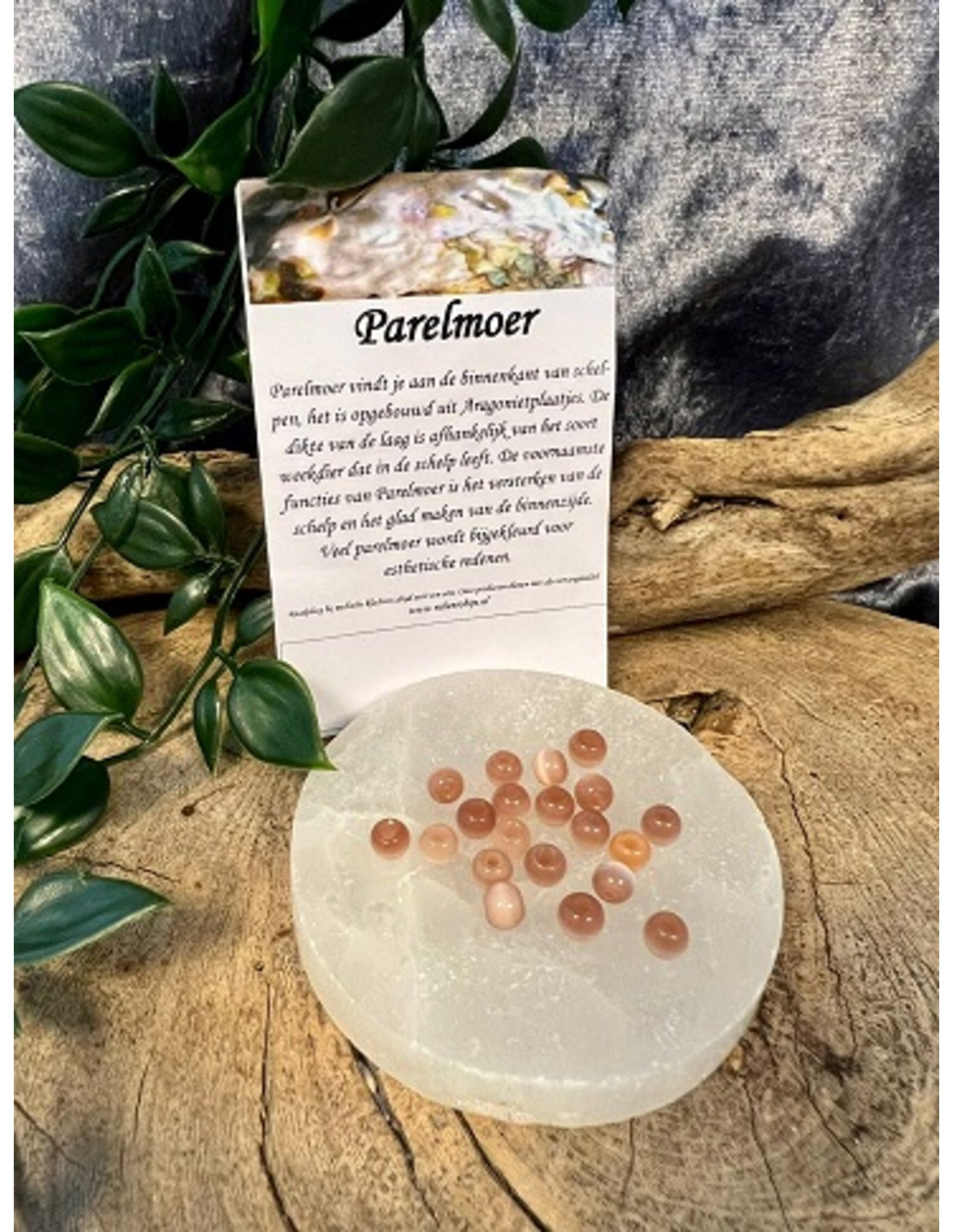 Kralen Parelmoer zalm 5 mm - 20 st. (bijgekleurd)