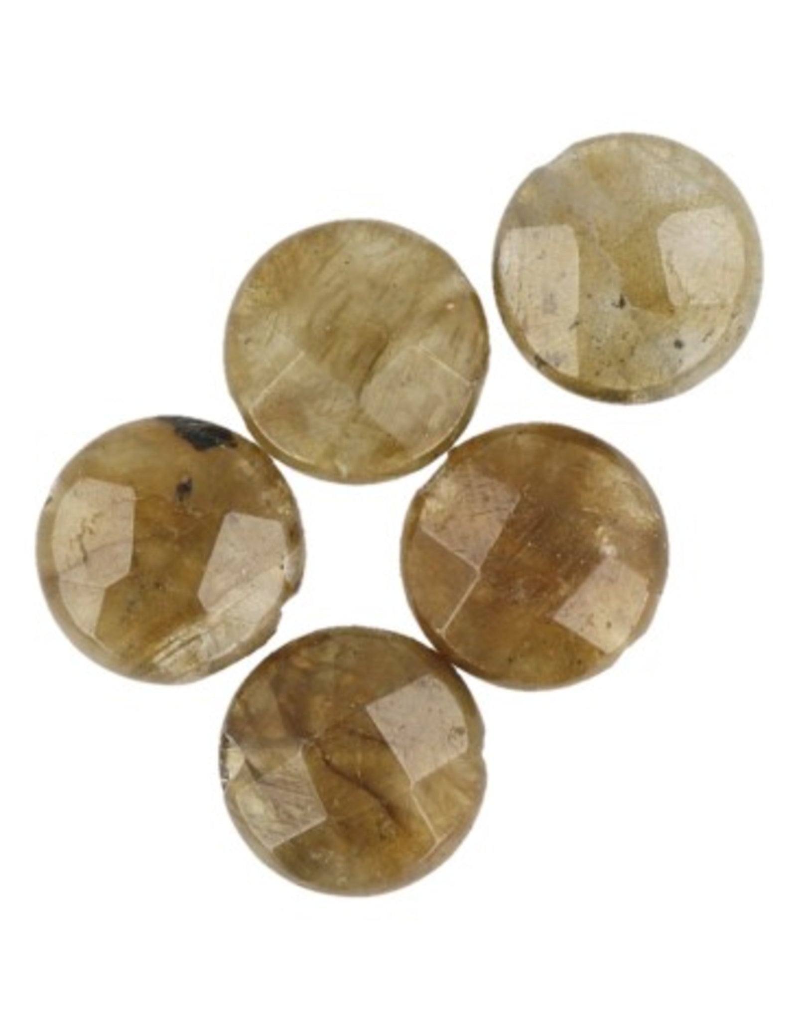 Labradoriet disc facet kralen - 5 st.