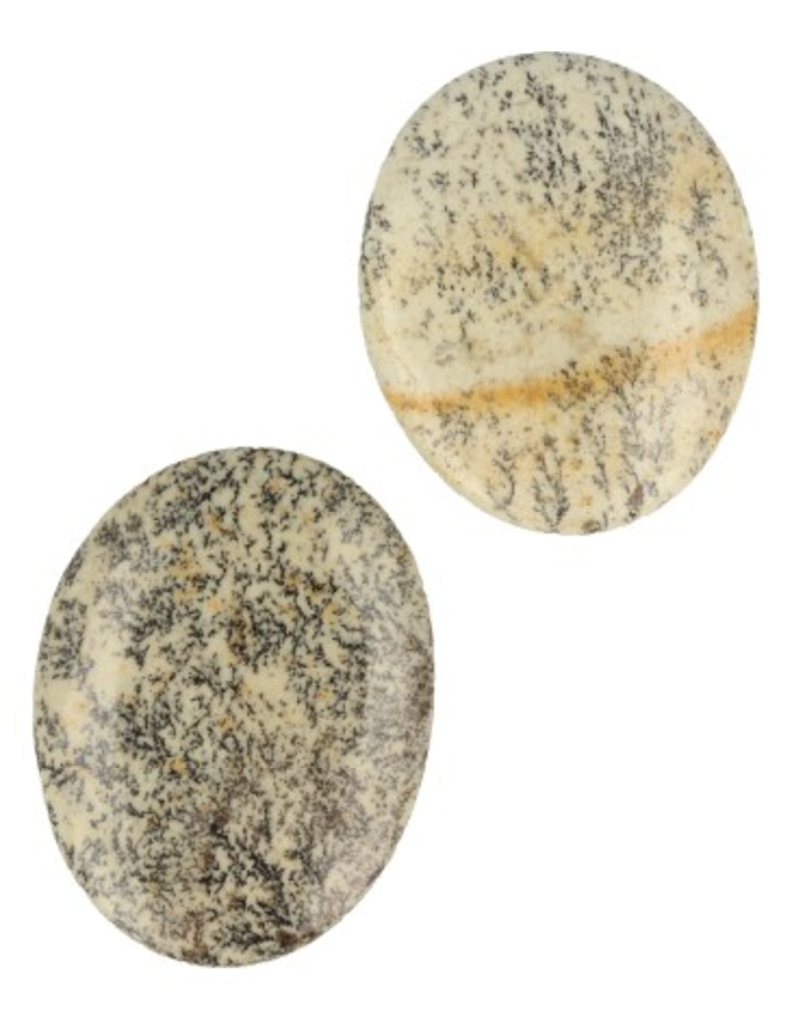 Opaal Dendriet zaksteen