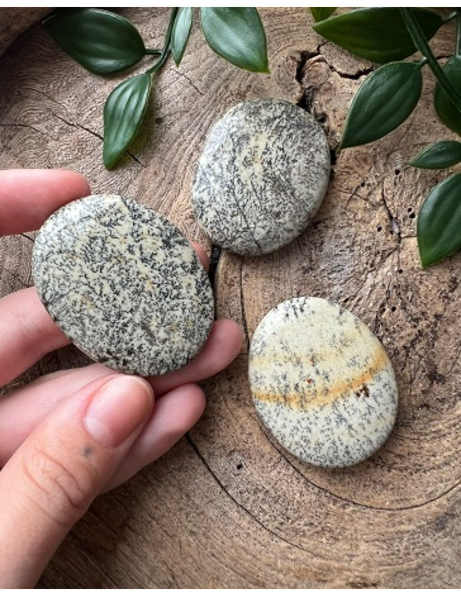 Opaal Dendriet zaksteen