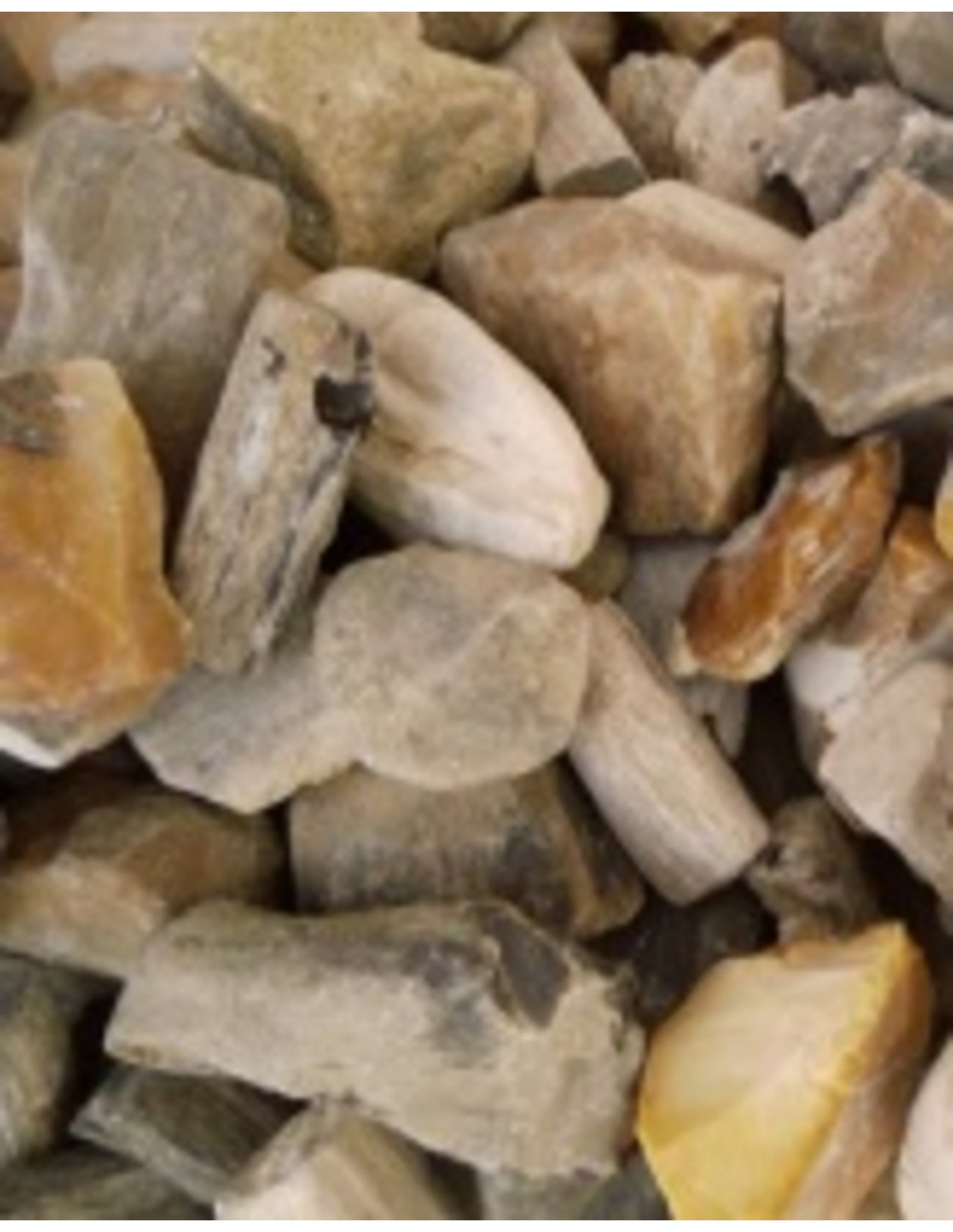 Versteend hout 250 gr. ruwe brokjes
