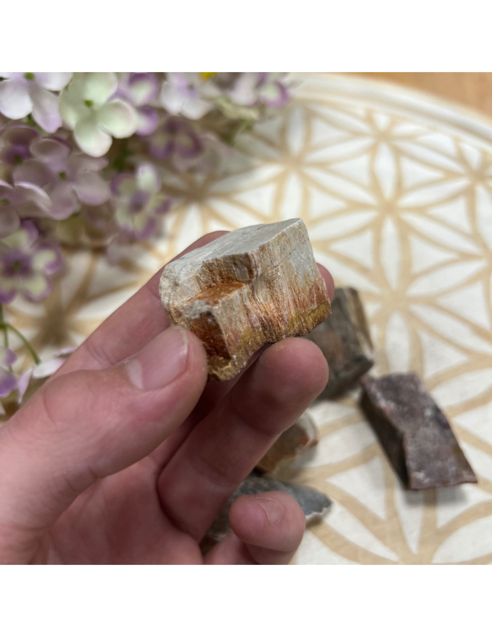 Versteend hout 250 gr. ruwe brokjes