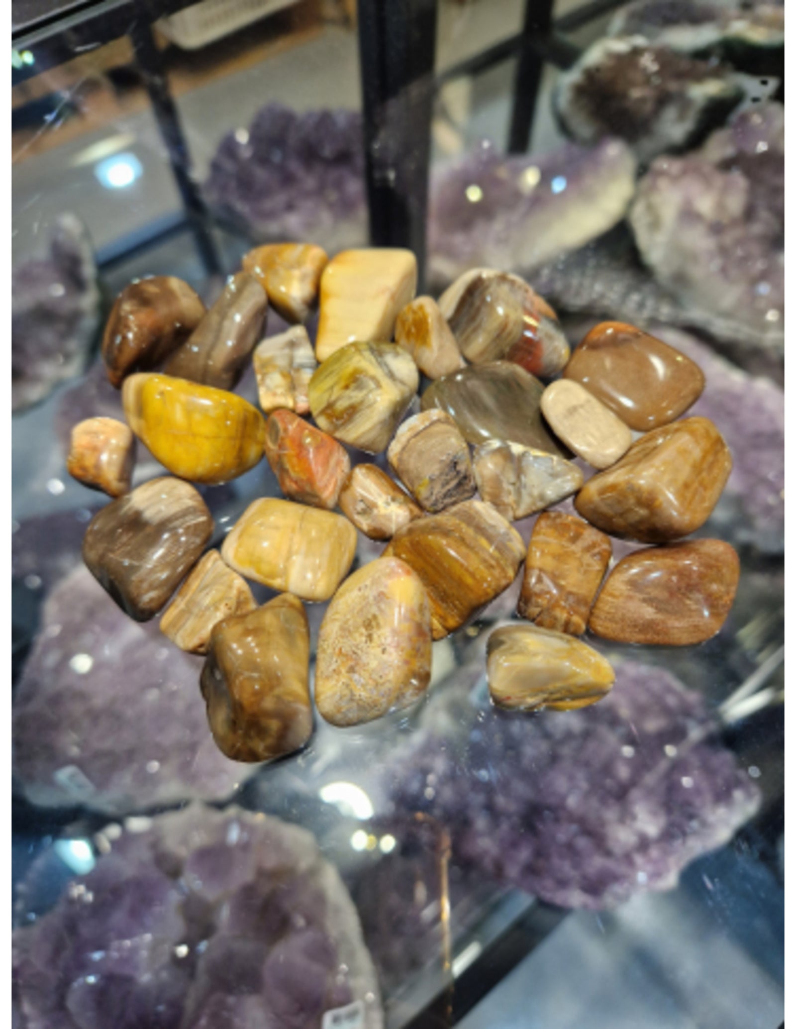 Versteend hout trommelstenen 250 gr. (mt3)