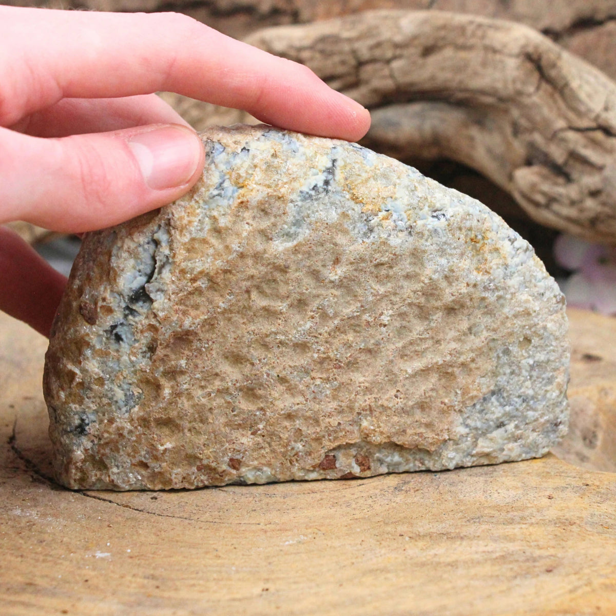 Agaat einden natuur nr.11