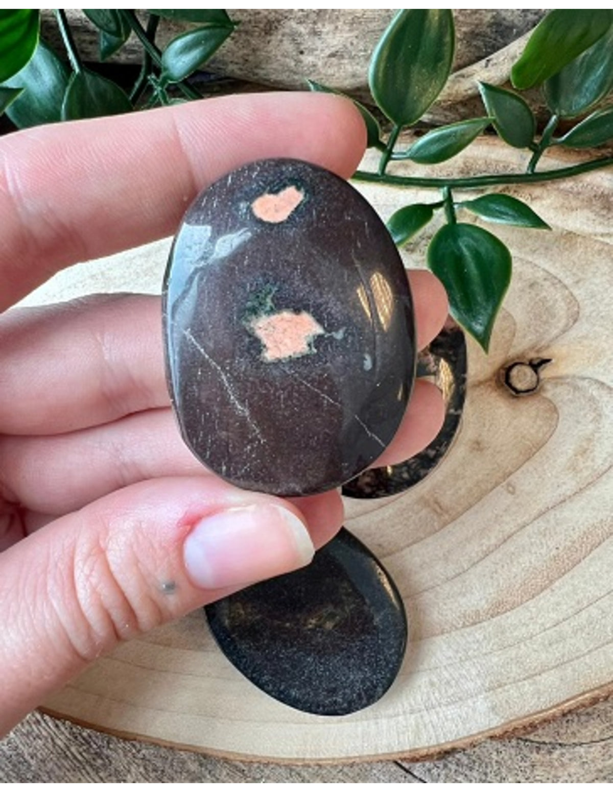 Agaat turritella zaksteen