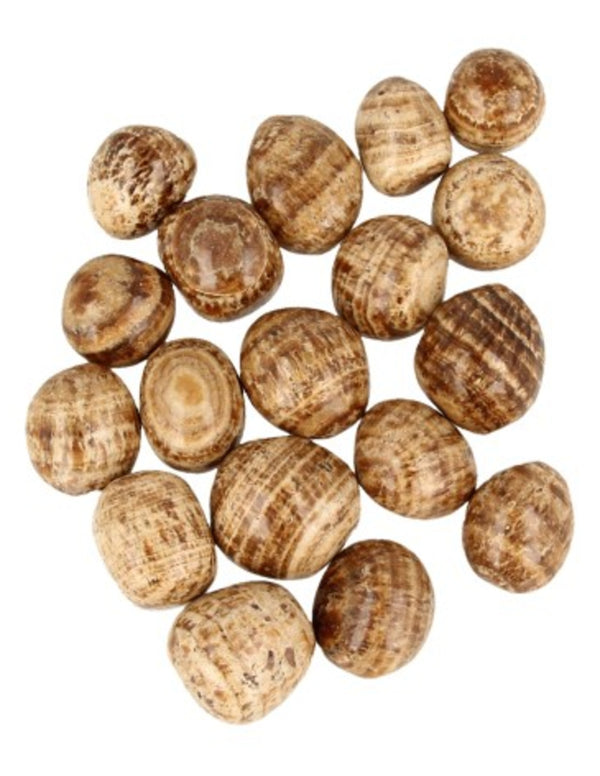 Aragoniet bruin A 100 gr. edelsteen trommelstenen (mt3)