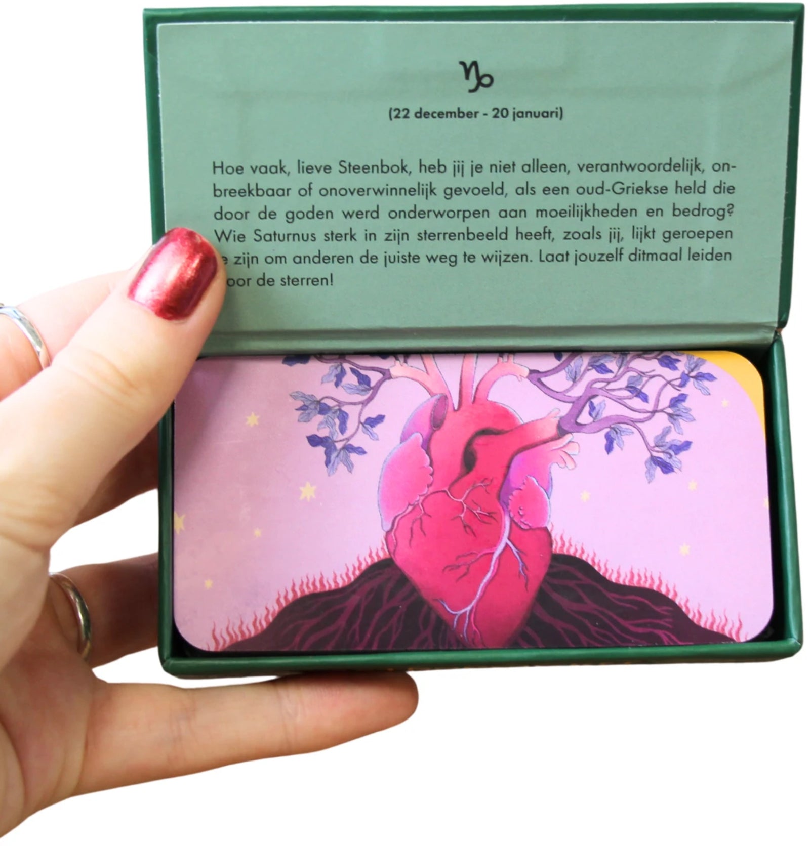 Astro pocket Steenbok