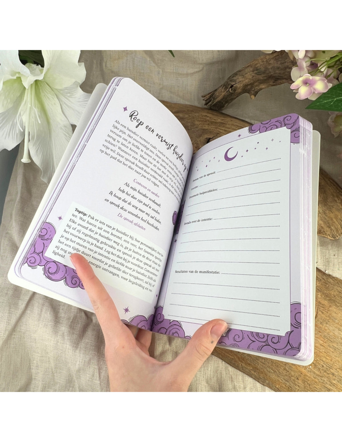 Boek: Hocus Focus