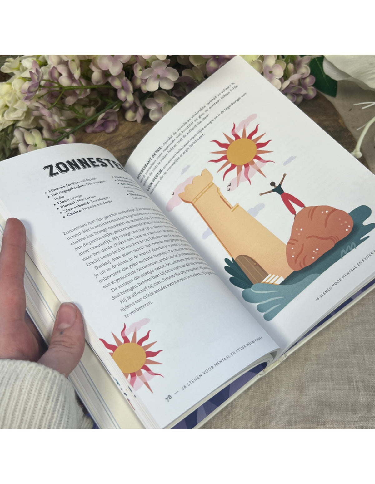 Boek: Kristallen voor de 7 chakra's