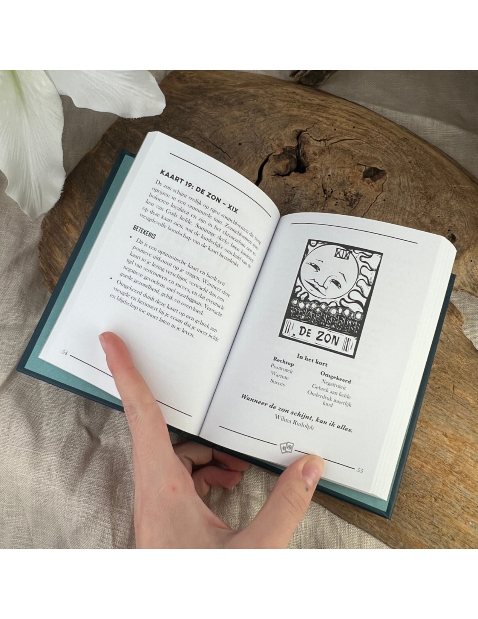 Boek: Tarot - het kleine zakboek
