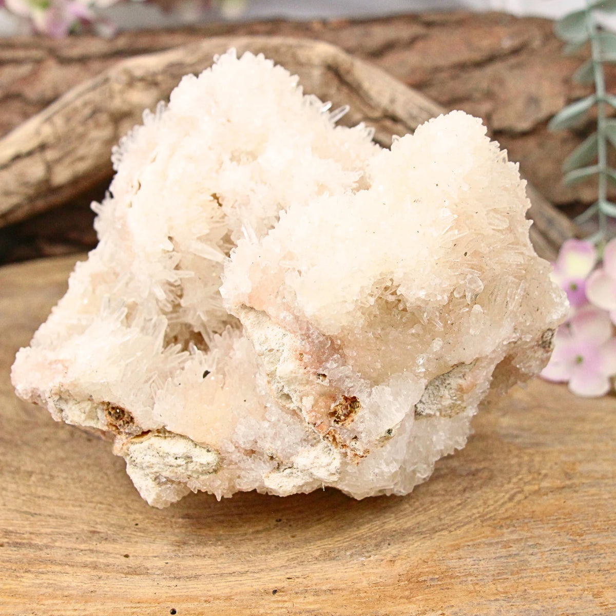 Calciet ruw dogtooth nr.21