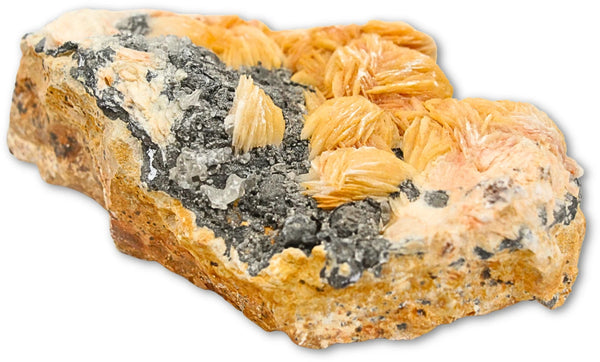 Cerussiet op Bariet met Magnetiet, ruw mineraal nr. 01