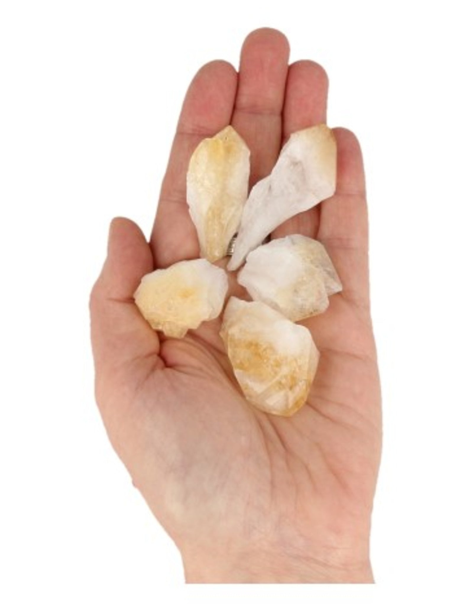 Citrien puntjes ruw (verhit), p/kg