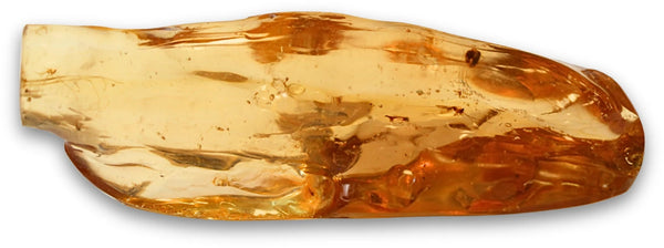 Copal gepolijst nr.03