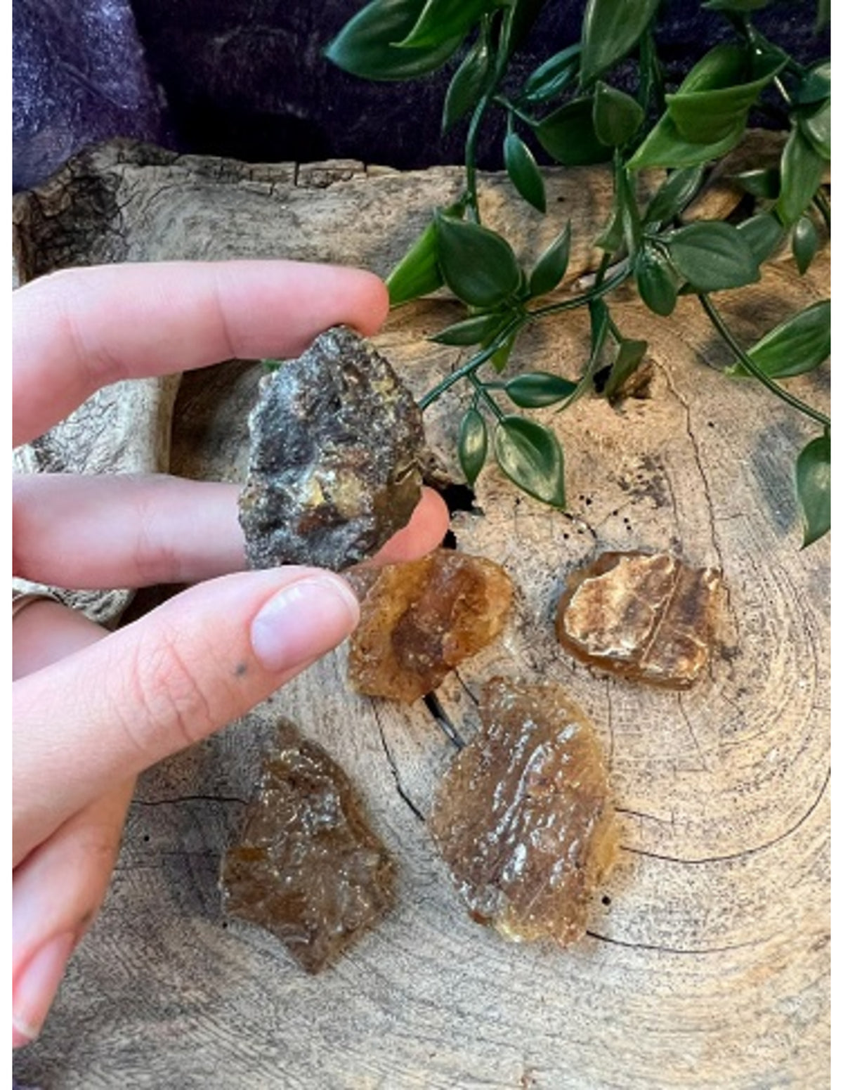 Copal halfruw trommelsteen 1 st. 3-5 cm