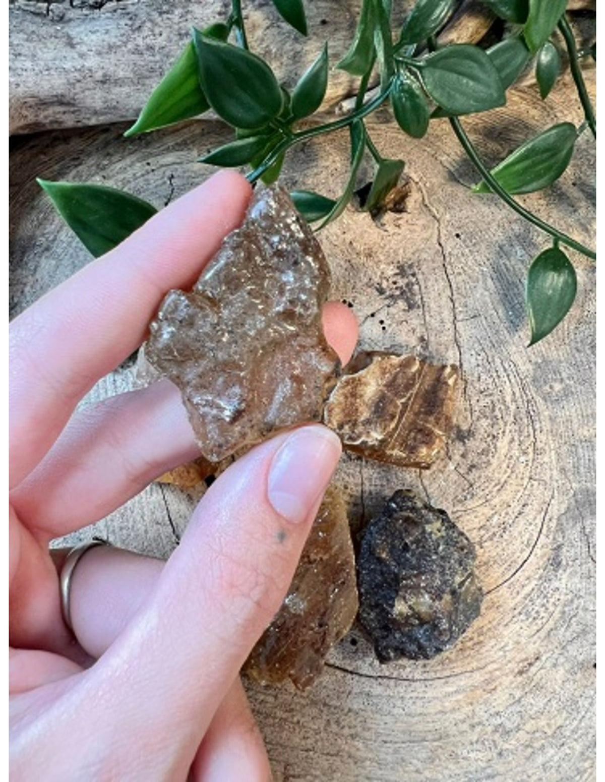 Copal halfruw trommelsteen 1 st. 3-5 cm