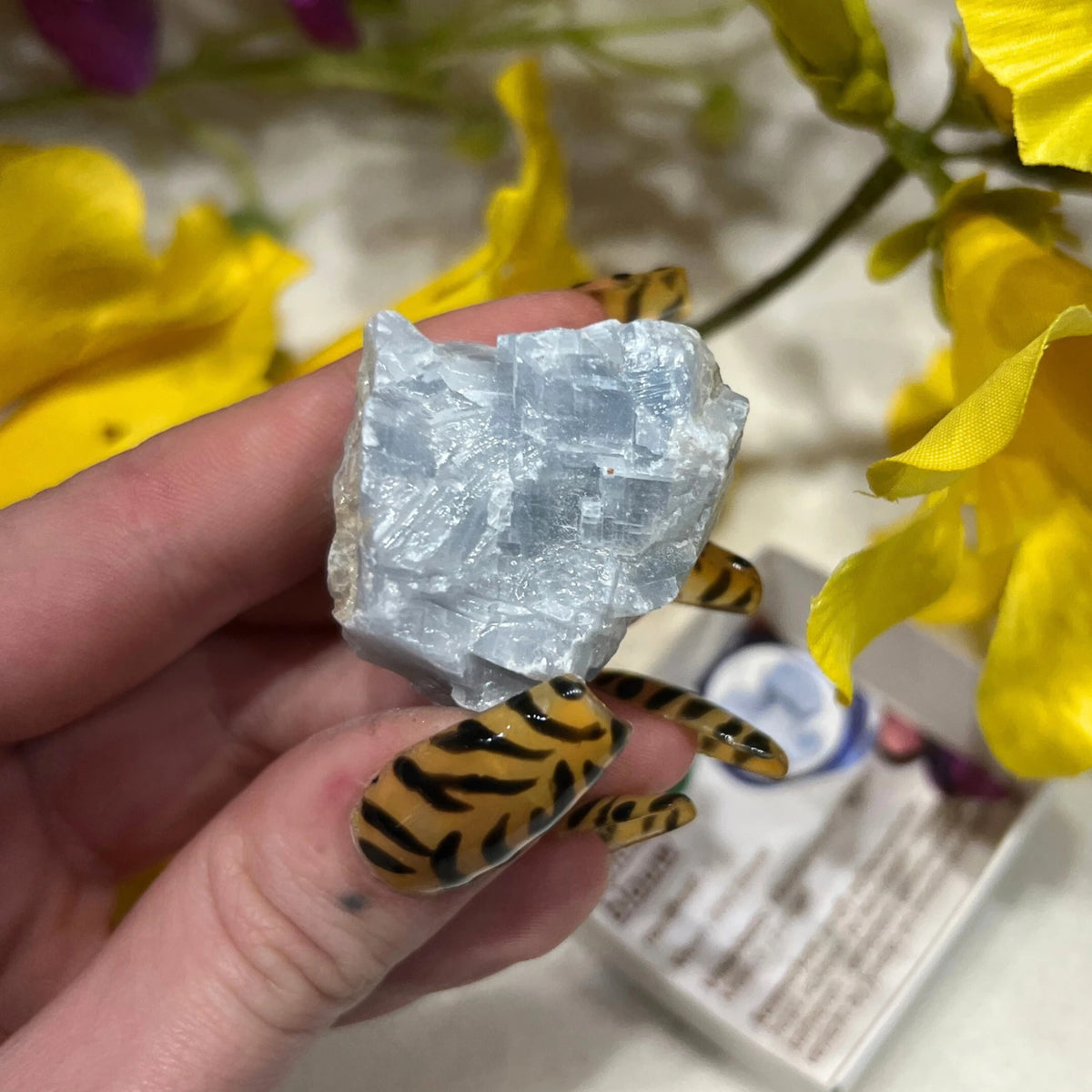 Doosje Calciet blauw
