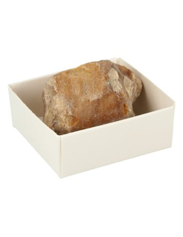Doosje Versteend hout