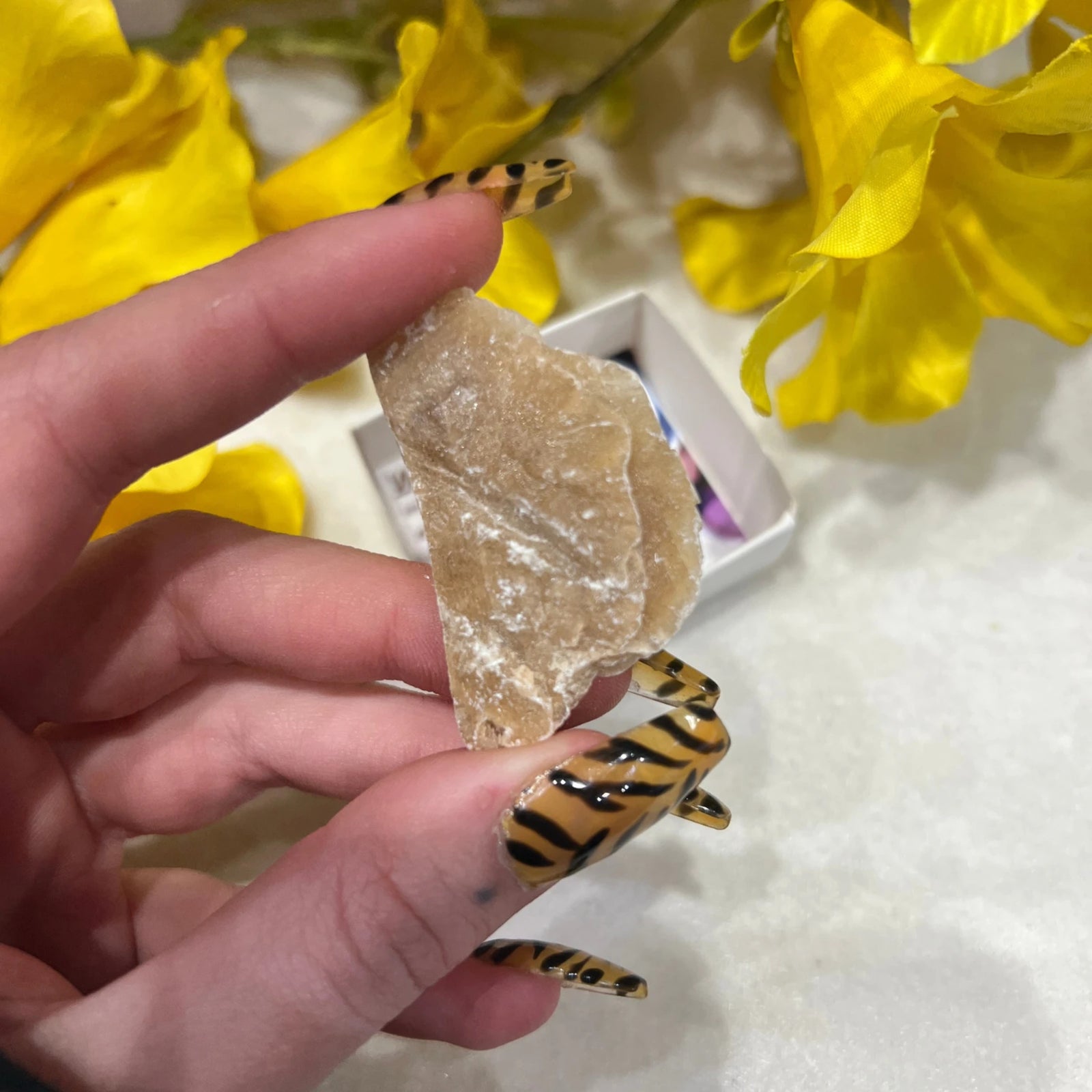 Doosje Woestijnroos