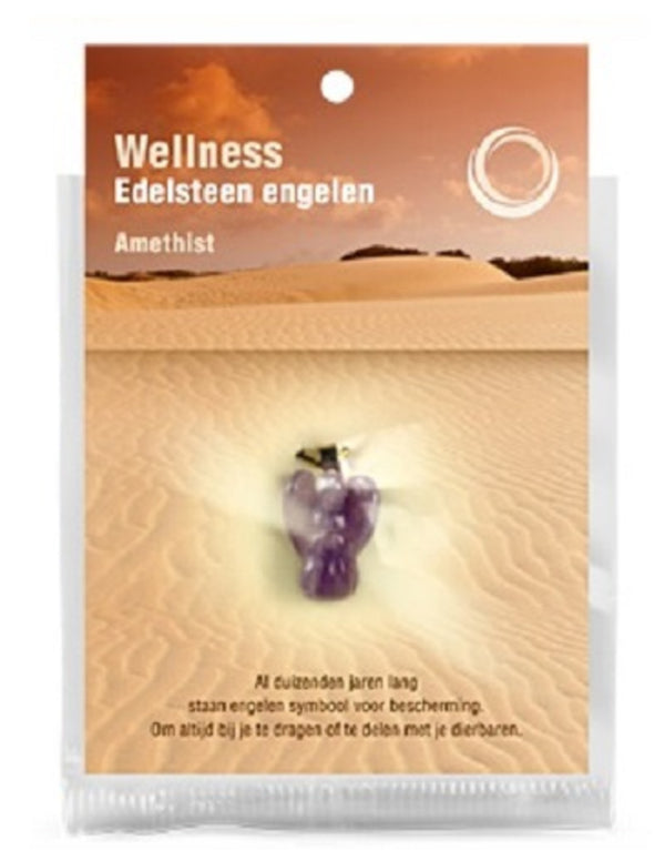 Amethist edelsteen engelen hanger + kaart