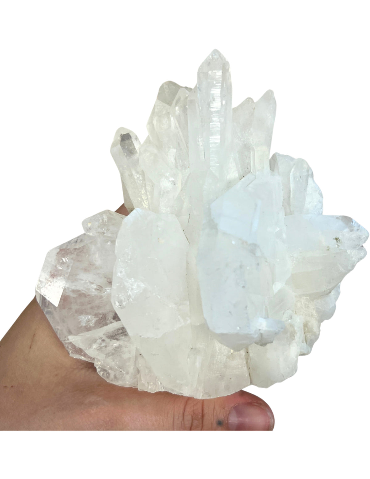 Fadenkwarts ruw cluster nr.06