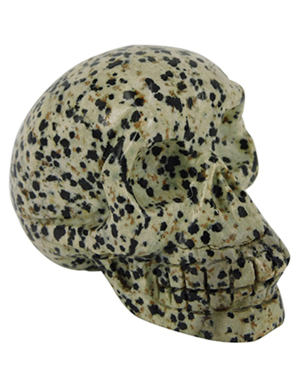 Jaspis dalmatier edelsteen schedel 70 mm