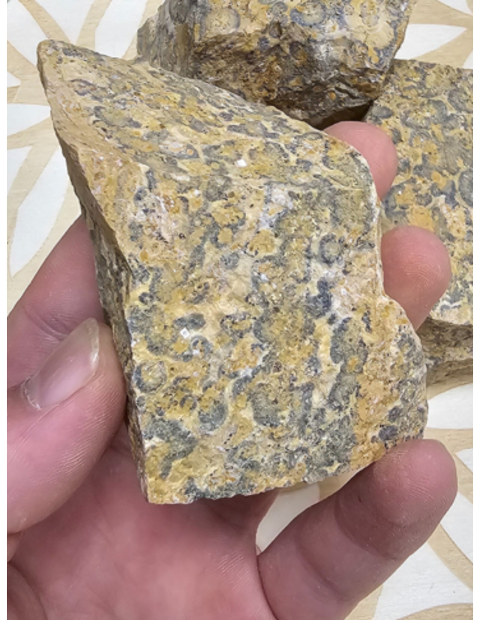 Jaspis luipaard Mexico 500 gr. ruwe brokken