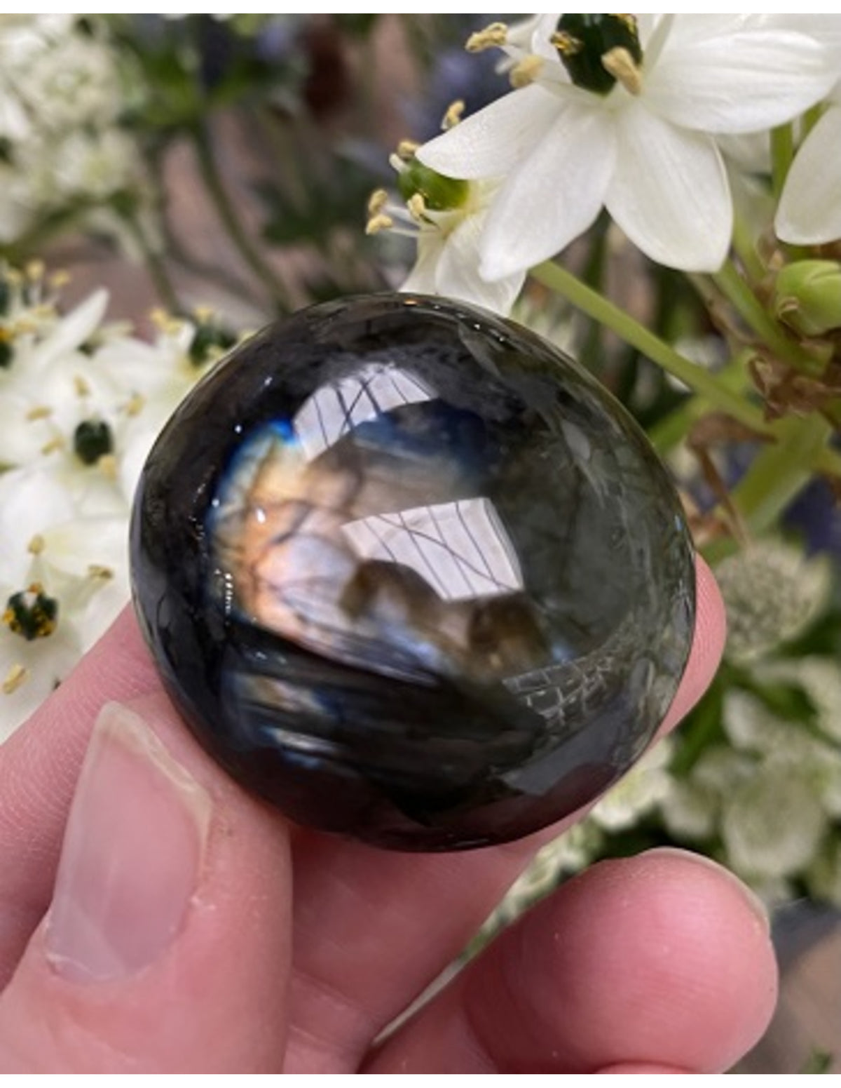 Labradoriet A 1 st. trommelsteen ca. 3 cm