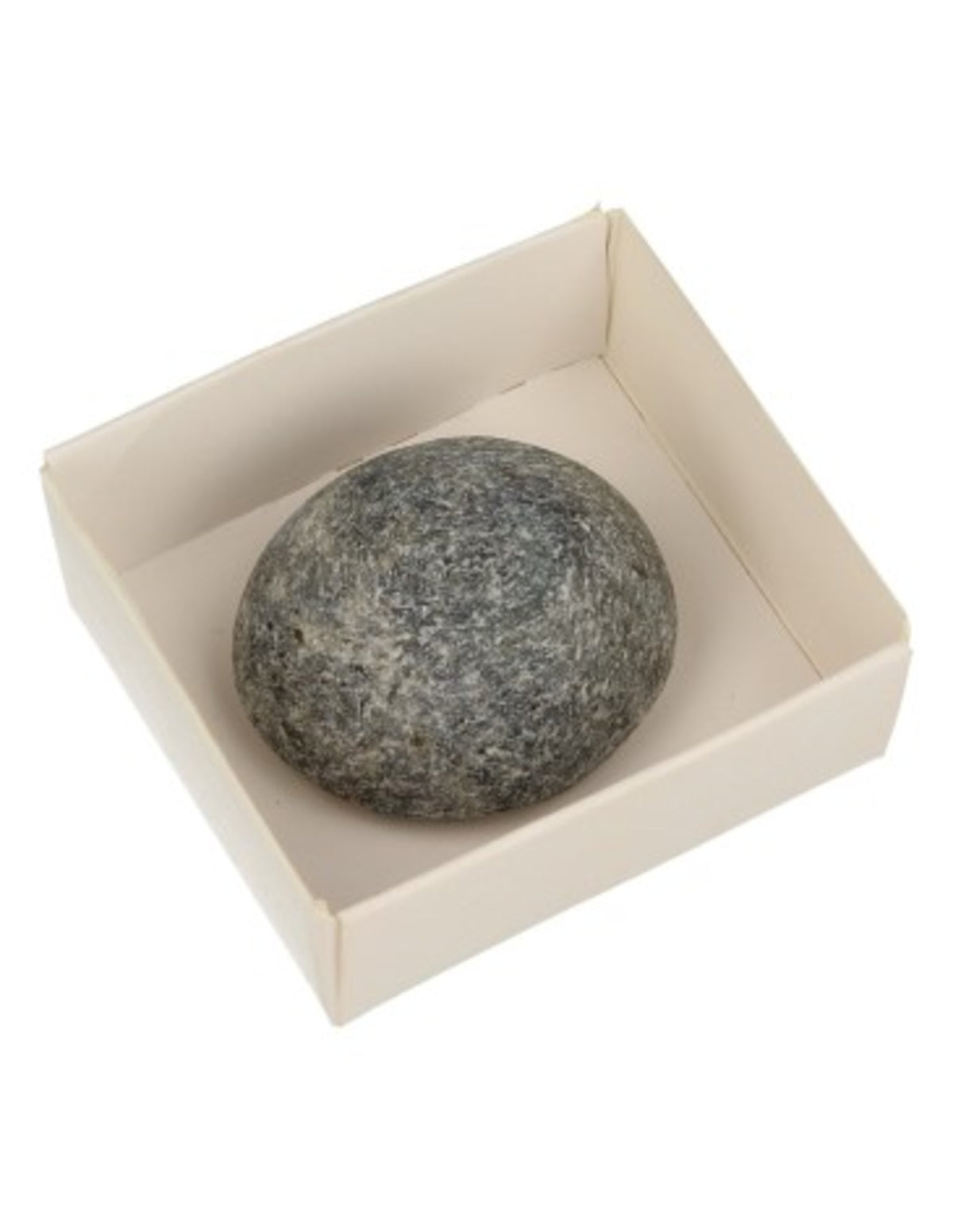 Labradoriet ema egg