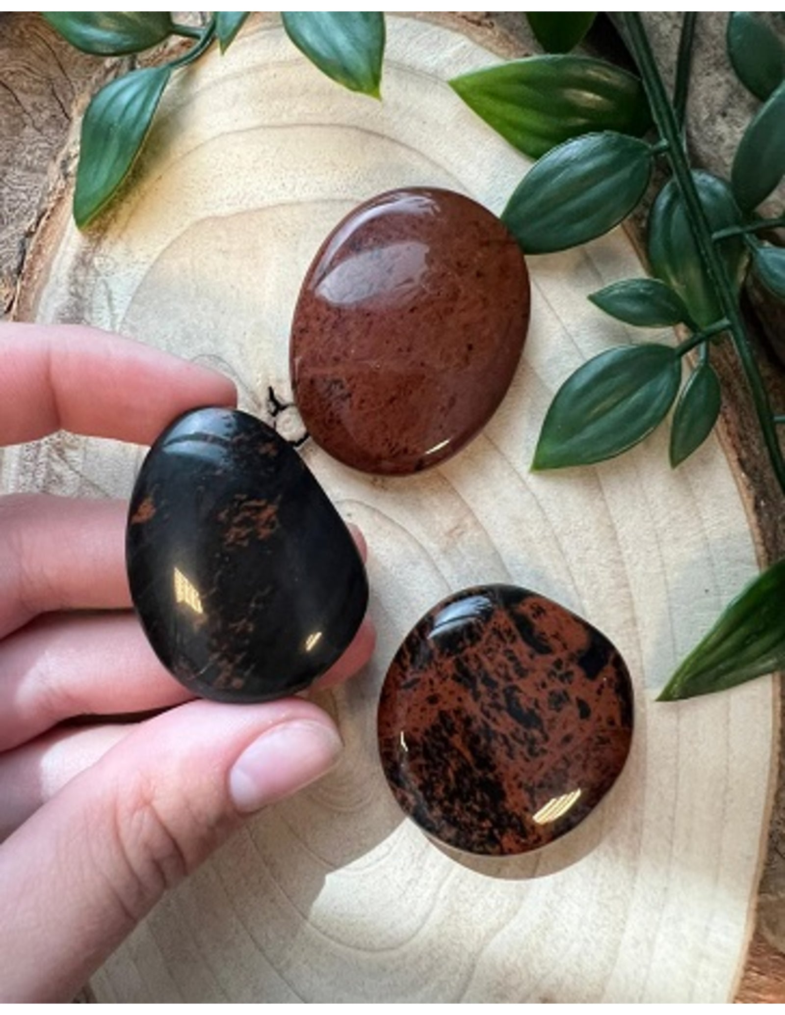 Obsidiaan mahonie zaksteen