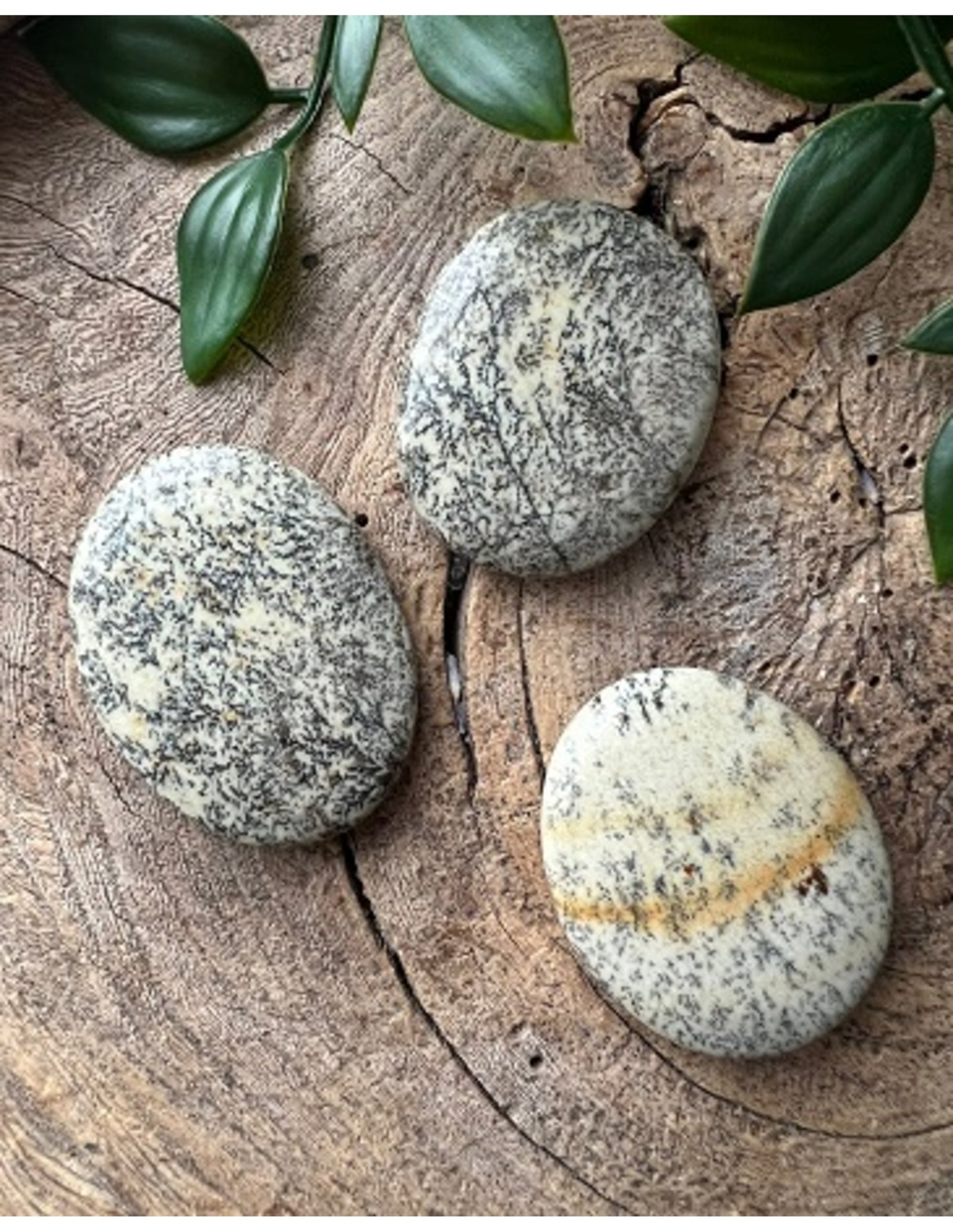 Opaal Dendriet zaksteen