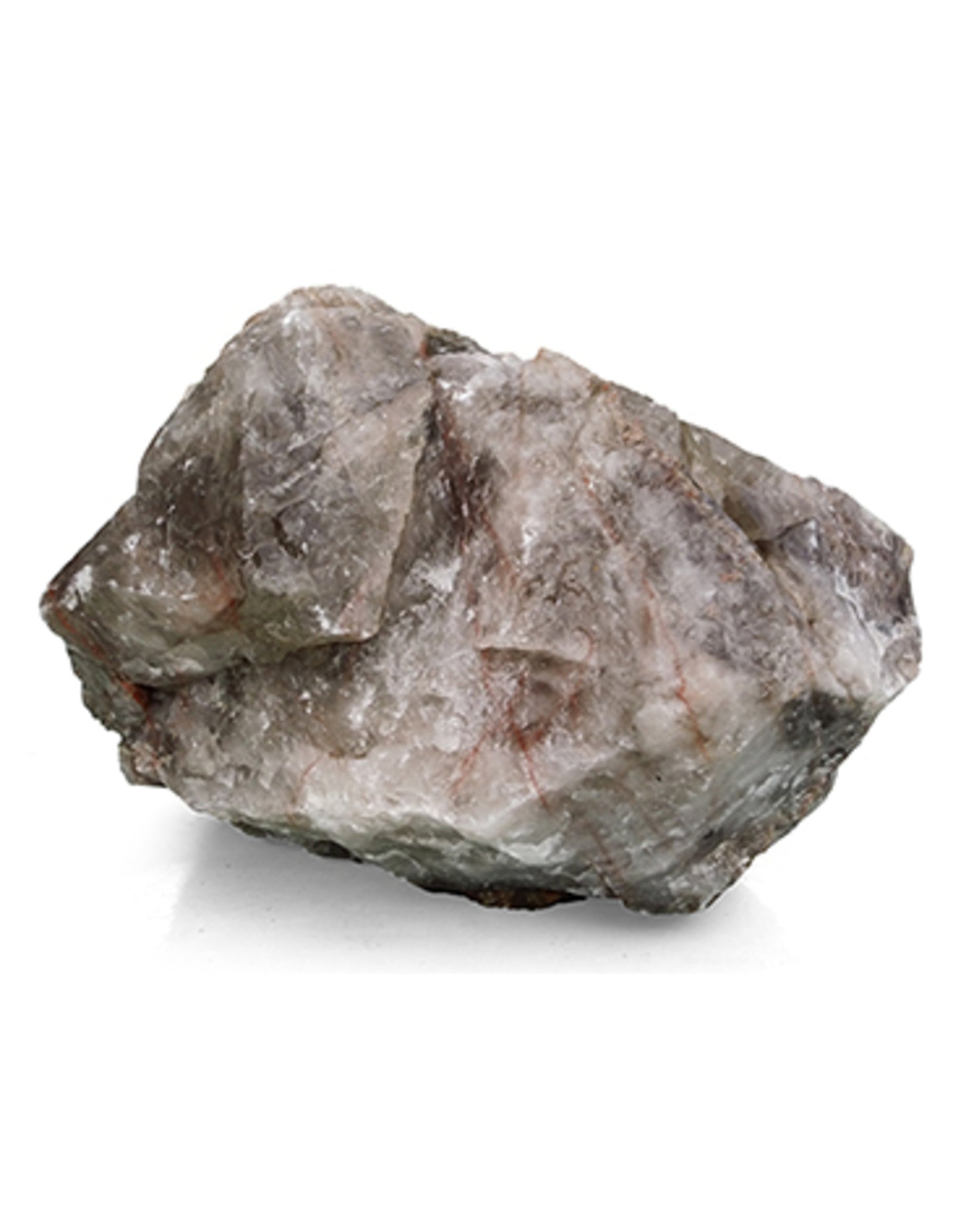 Rookkwarts met Red Healer ruw jumbo, p/kg