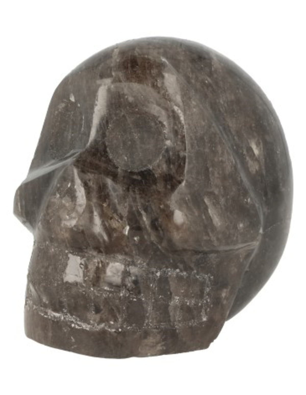 Rookkwarts schedel nr.31