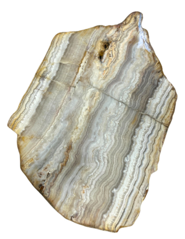 Rosenchalcedon in versteinertem Holz Edelsteinscheibe Nr.02
