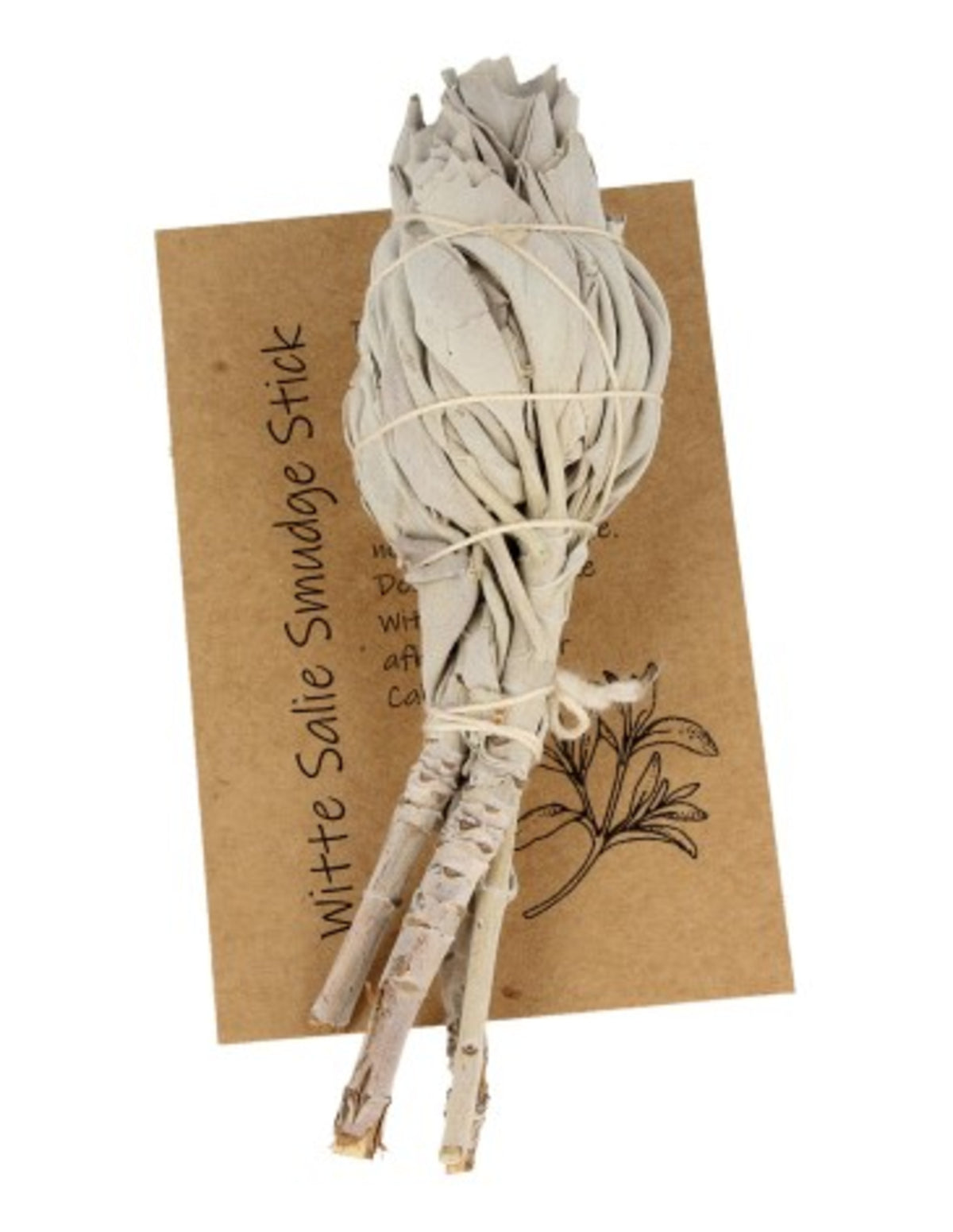 Saliebosje 12 cm