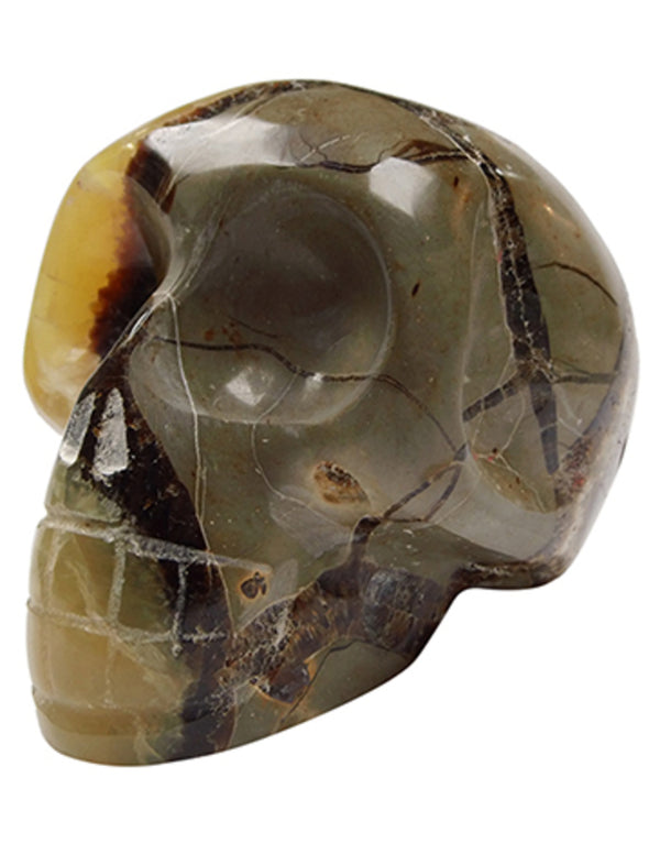 Septarie edelsteen schedel 15 cm