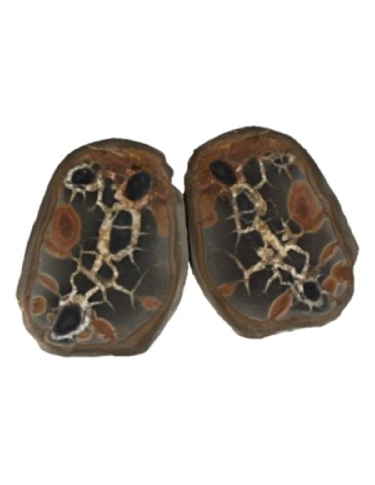 Septarie / thunderstone paar 5-7 cm