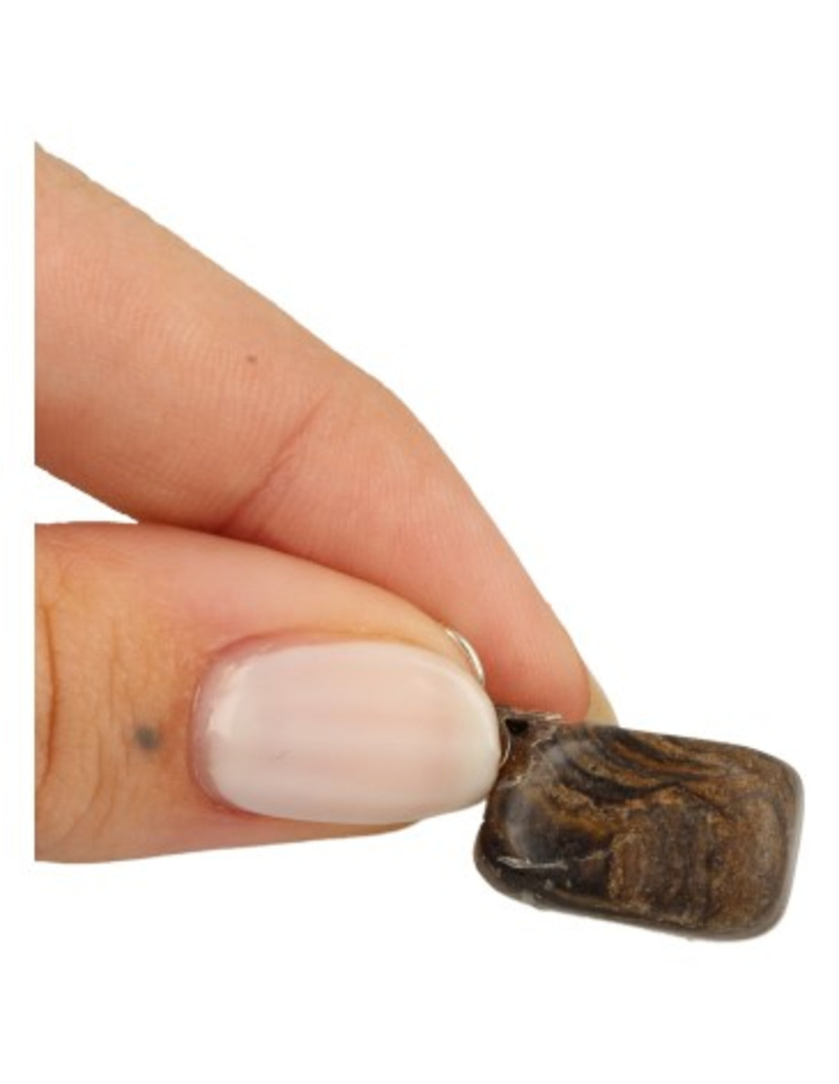Stromatoliet edelsteen hanger