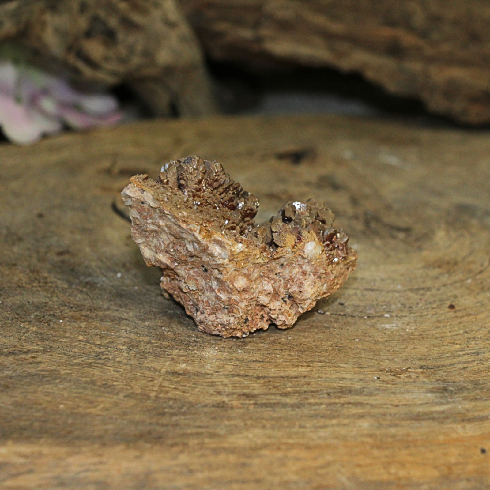 Vanadeniet chocolade A ruw nr.03
