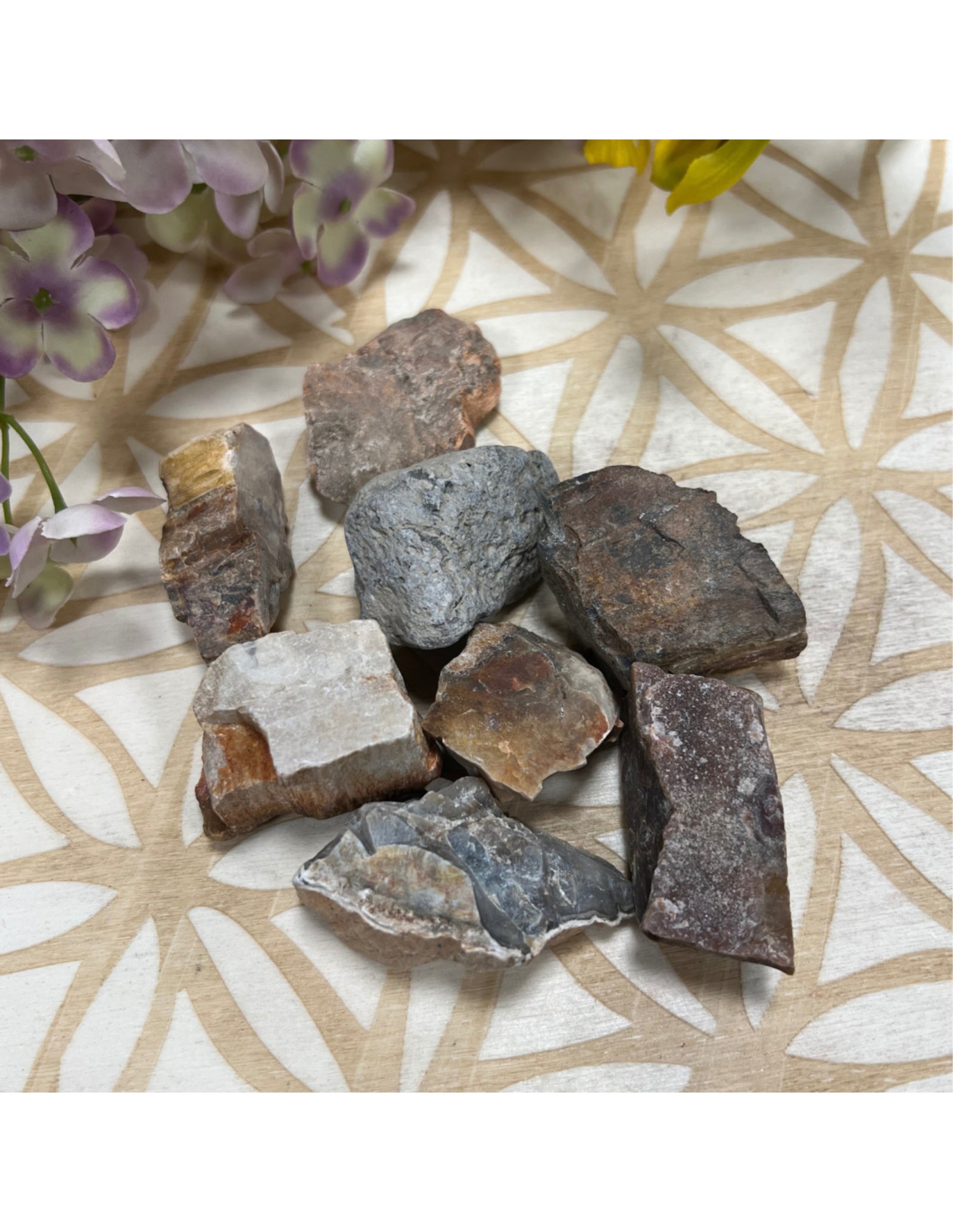 Versteend hout 250 gr. ruwe brokjes