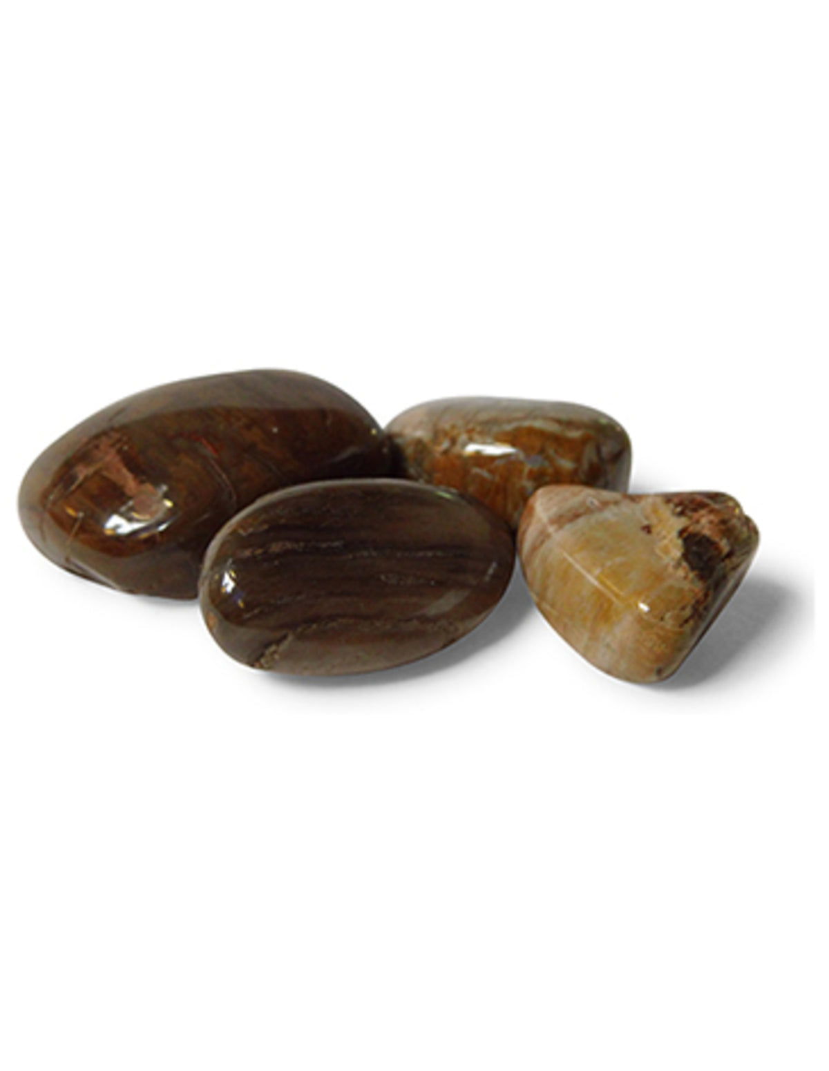 Versteend hout 50 gr. trommelstenen (mt3)